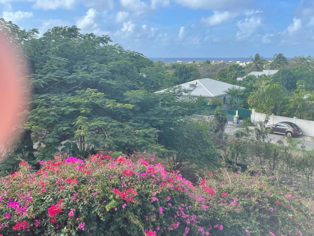 סן-פרנסואה Villa Ste Marthe Avec Piscine, Grande Terrasse, Jardin Intime Et Citerne D'Eau מראה חיצוני תמונה